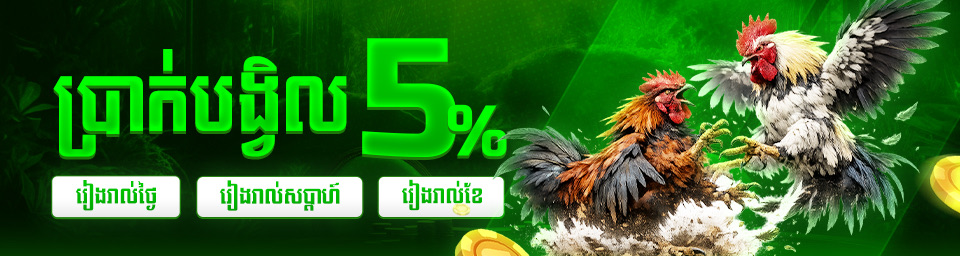 Promo 1