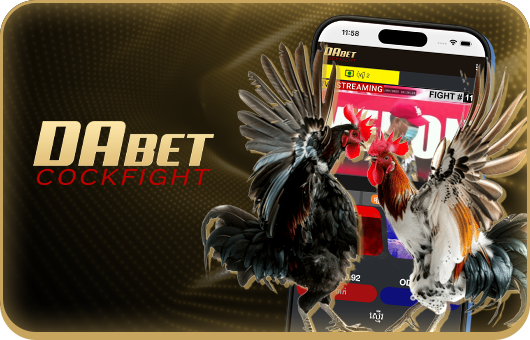 Ng78 cock fighitng